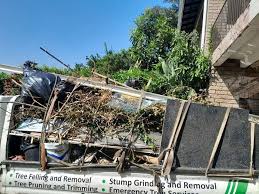 Best Construction Debris Removal  in Beechwood, MI