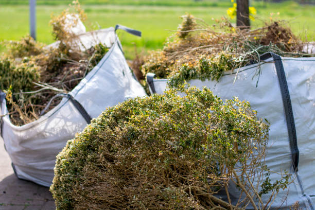 Best Recycling Services for Junk  in Beechwood, MI